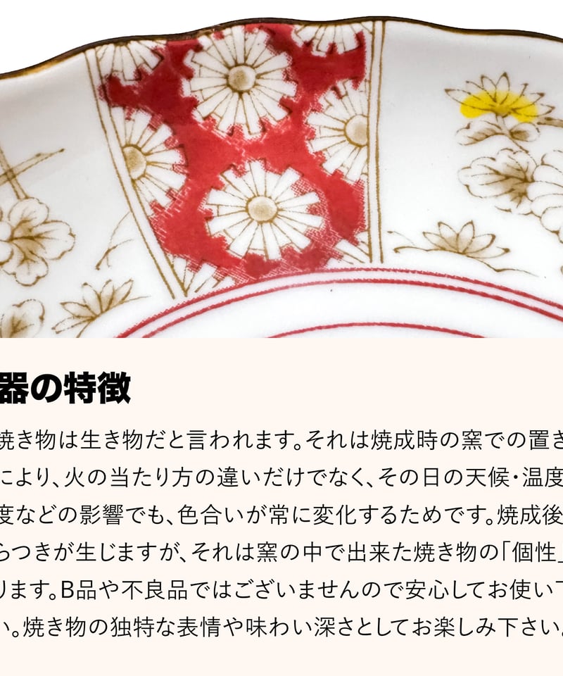 ジャポニカ菊花 シリーズ | AWASAKA