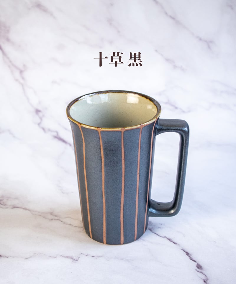 ビカクシダ MW4×geisha‼️11月限定SALE‼️ ビカクシダ P.'Ice age'(P.ssfoong x P.Pewchan 'Snow Queen F304')1