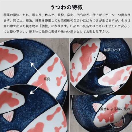 錦鯉　寿司湯呑