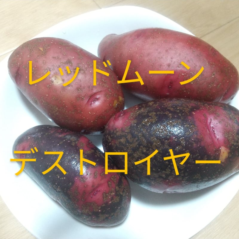 じゃがいも食べ比べ☆箱込み5キロ 品種：レッドムーン、デストロイヤー