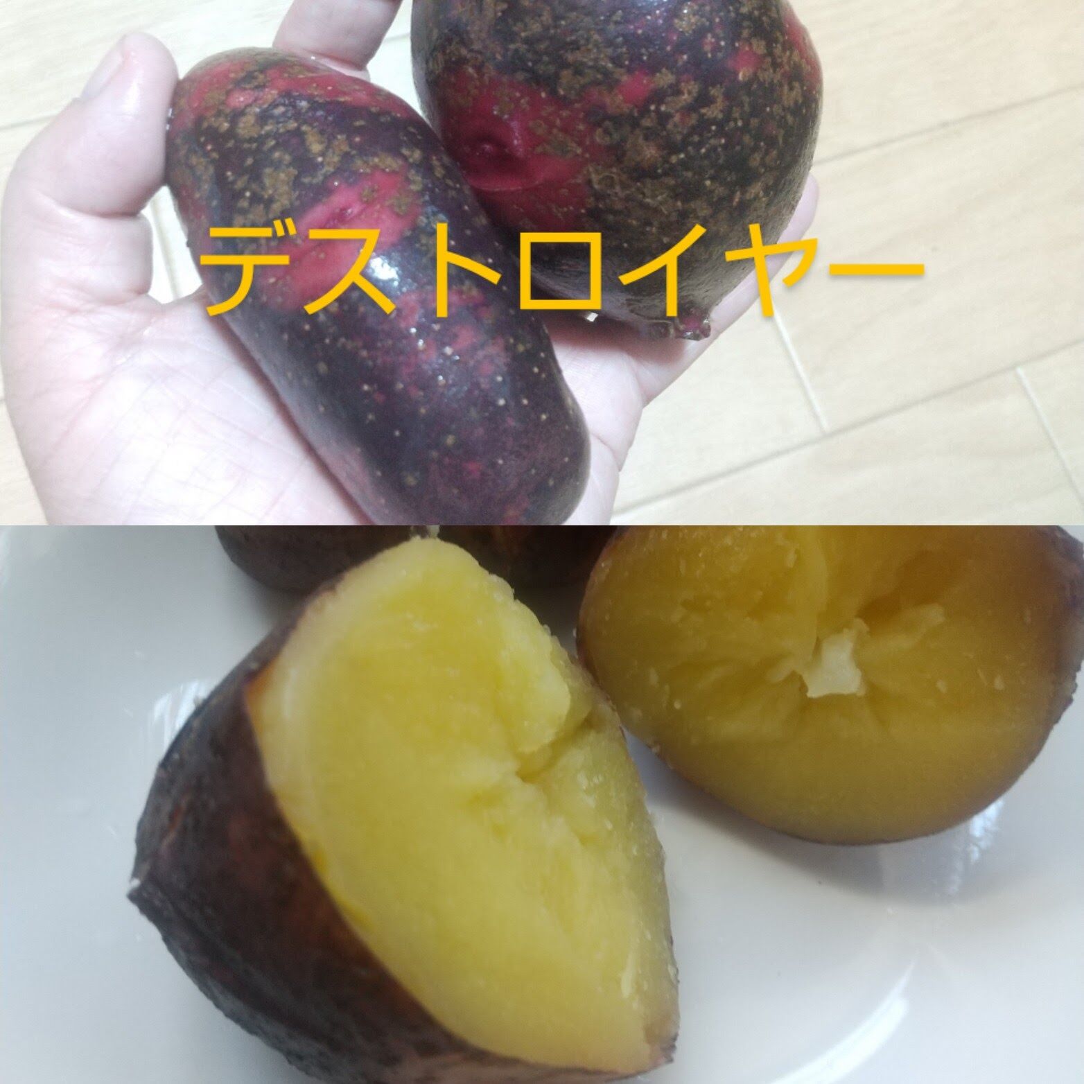 じゃがいも☆箱別23キロ　デストロイヤー（グラウンドペチカ）&レッドムーン半々 original