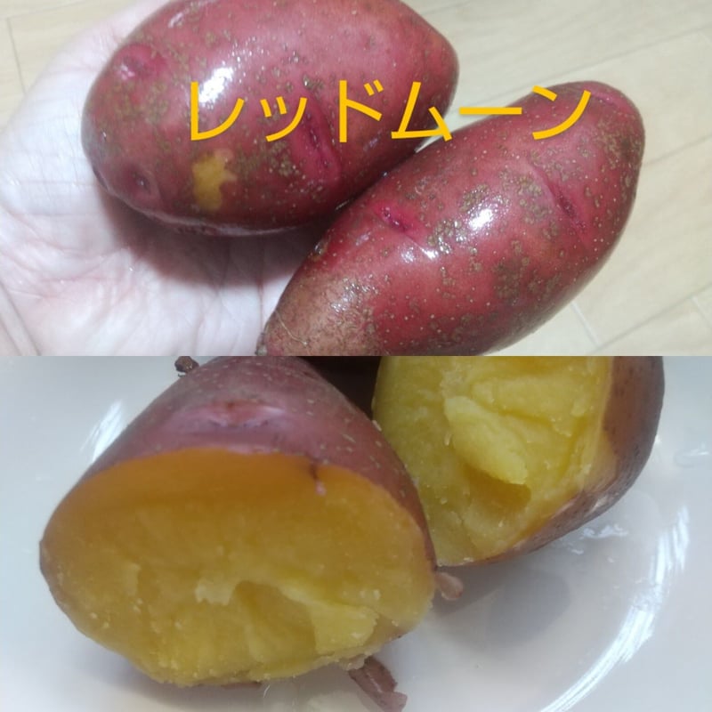 じゃがいも食べ比べ☆箱込み5キロ 品種：レッドムーン、デストロイヤー