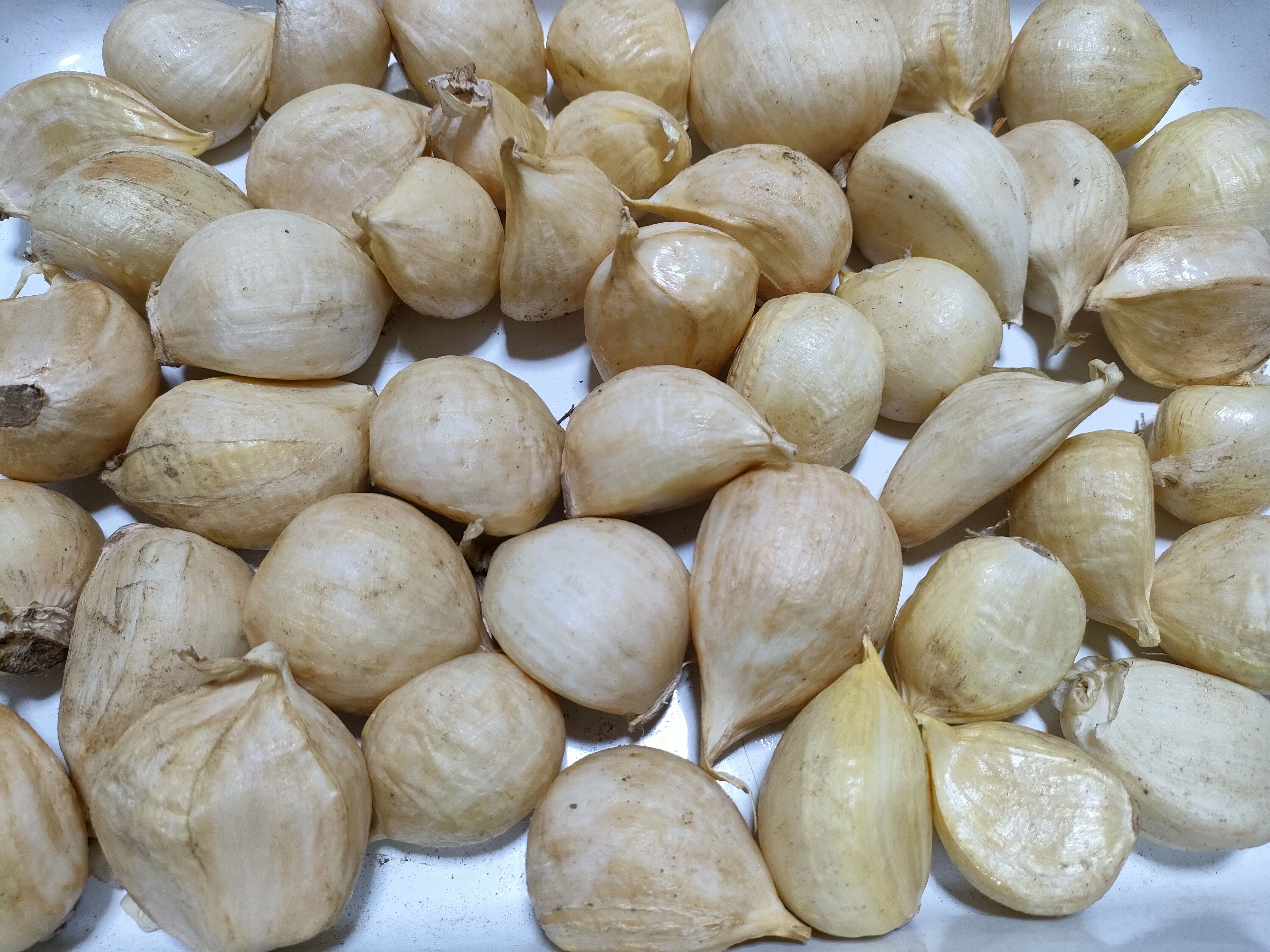 愛知県産ジャンボにんにく☆バラ箱込み5キロ農薬不使用