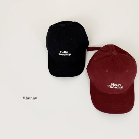 vbunny/74. day cap FREE(48-52CM)