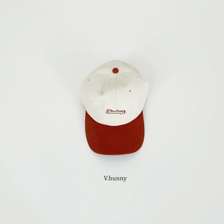 vbunny/66. two color cap FREE(48-52CM)