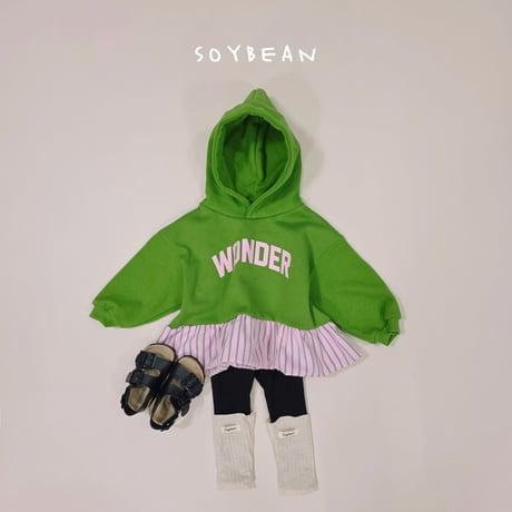 soybean/166. wonder pumpkin hood JS-JM