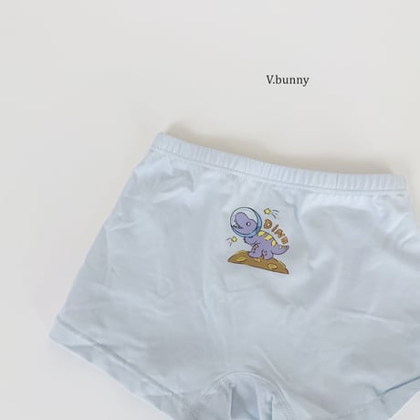 vbunny/55. little underpants S-3XL