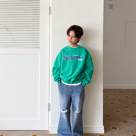 fromi/51. Seahawks Sweatshirt? S-XL