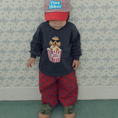 tinyhiker/32. autumn check ball cap FREE
