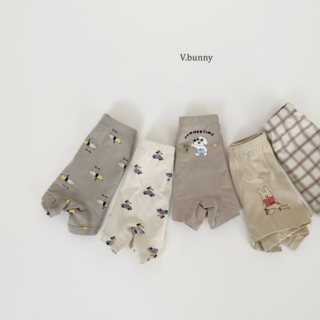 vbunny/53. hawaii underpants S-3XL
