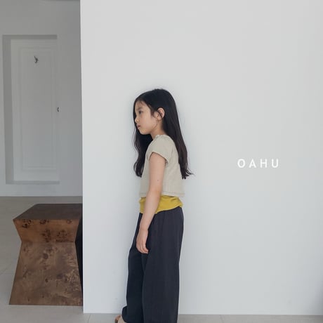 oahu/50. boat neck golgi T-shirt S-XL