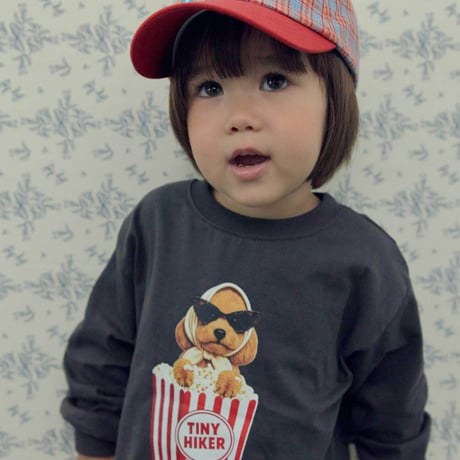 tinyhiker/32. autumn check ball cap FREE