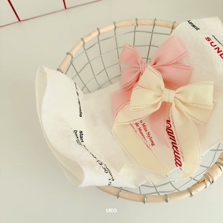 ueo/1. princess ribbon pin FREE