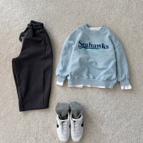 fromi/51. Seahawks Sweatshirt? S-XL
