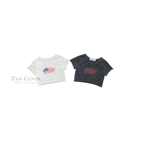 zanclover/61. crop T-shirt 3-11