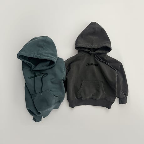 fromi/40. pigment embo embroidery hood JS-JL