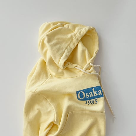 fromi/67. Tokyo Osaka Hoodie? S-XL