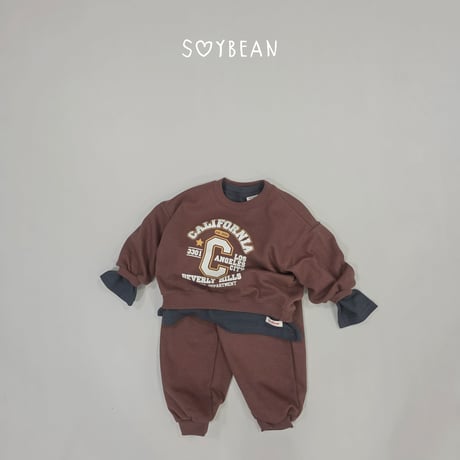 soybean/31. plan ) rayerd T-shirt JS-JL