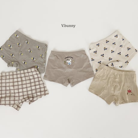 vbunny/53. hawaii underpants S-3XL