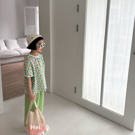 hei/2. fruit shirts T-shirt XS-XL
