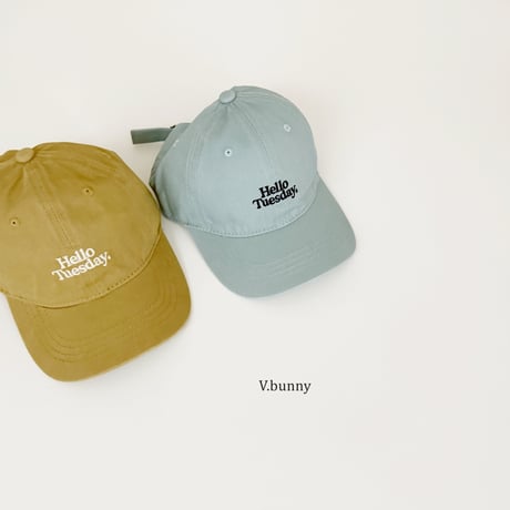 vbunny/74. day cap FREE(48-52CM)