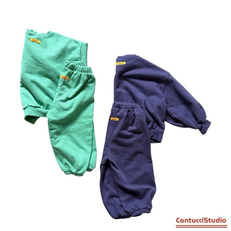 cantuccistudio/35. color setup JS
