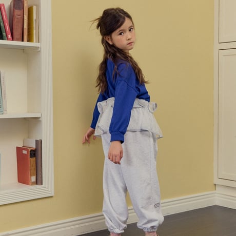 hans/4. star mesh rayerd skirt JM