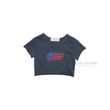 zanclover/61. crop T-shirt 3-11