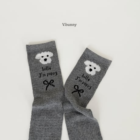 vbunny/48. jay m socks set FREE