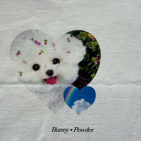 bunnypowder/74. bichon T-shirt S-XL