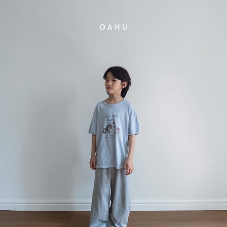 oahu/39. pony digital T-shirt ADULT