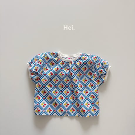 hei/2. fruit shirts T-shirt XS-XL