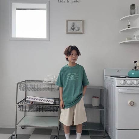owen/78. section pigment half t T-shirt ADULT