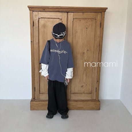 mamami/14. cargo wide P  JS-JL