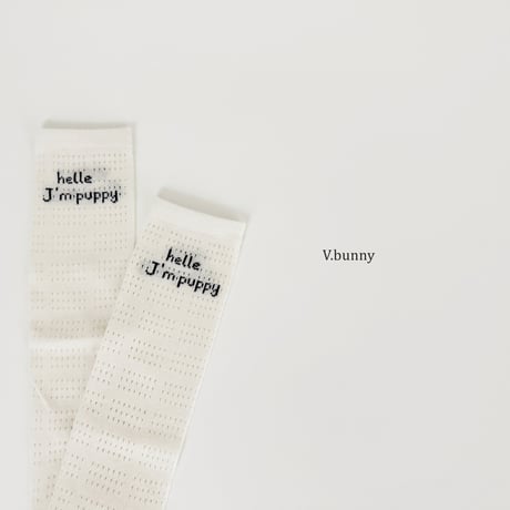 vbunny/48. jay m socks set FREE