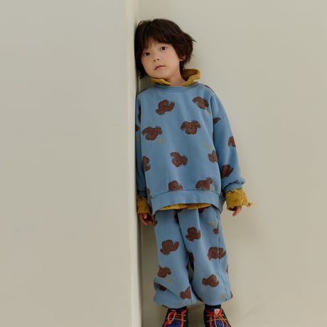 navi/24. pooch pants 2XL-JL