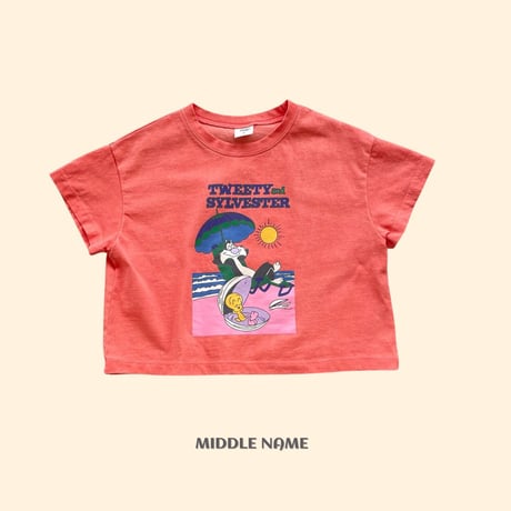 middlename/29. tweet  T-shirt S-XL