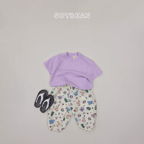 soybean/46. plan ) cotton box half t T-shirt JS-JL