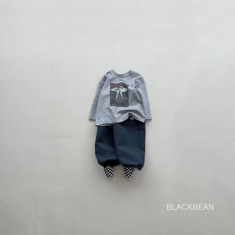 blackbean/61. stella T-shirt S-XL