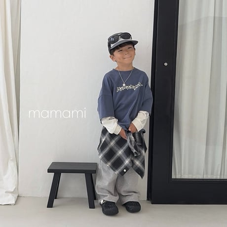 mamami/14. cargo wide P  JS-JL