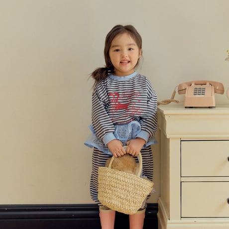 hans/1. check ribbon bag FREE