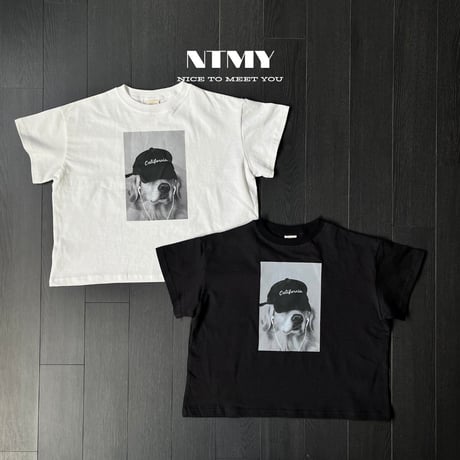 nicetomeetyou/25. hip dog T-shirt S-XL