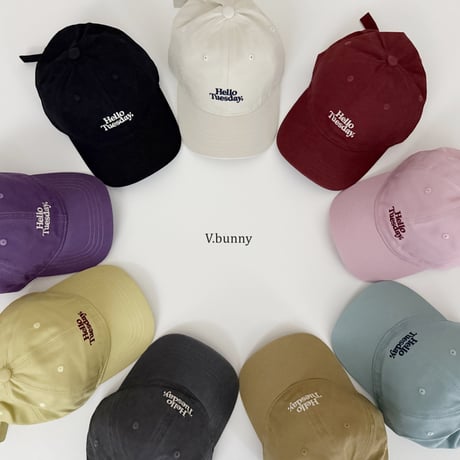 vbunny/74. day cap FREE(48-52CM)