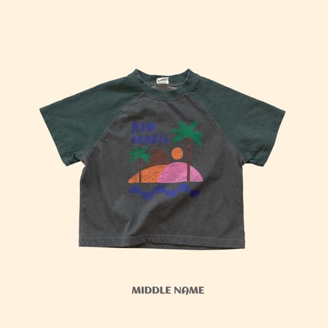 middlename/44. pig palm tree T-shirt JS-JM