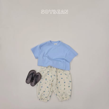 soybean/45. plan ) cotton box half t T-shirt XS-XL