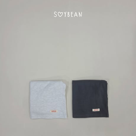 soybean/31. plan ) rayerd T-shirt JS-JL