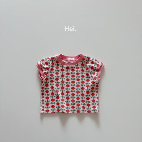 hei/7. Carrot T-shirt XS-XL