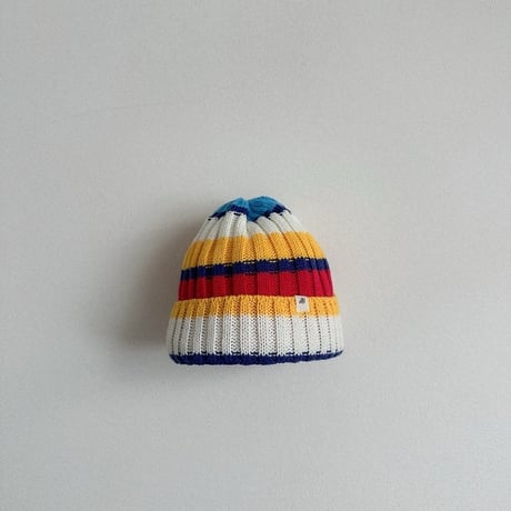 digreen/47. multi beanie? FREE