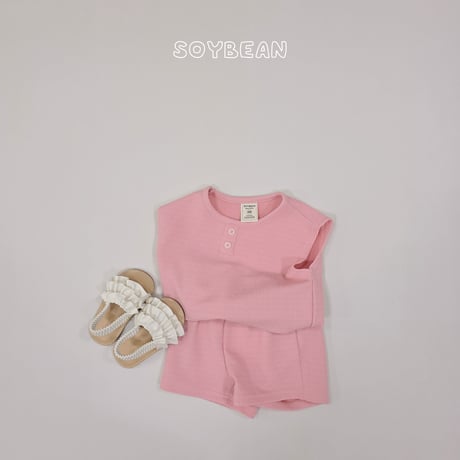 soybean/57. plan ) danzak boxy ( set JS-JM