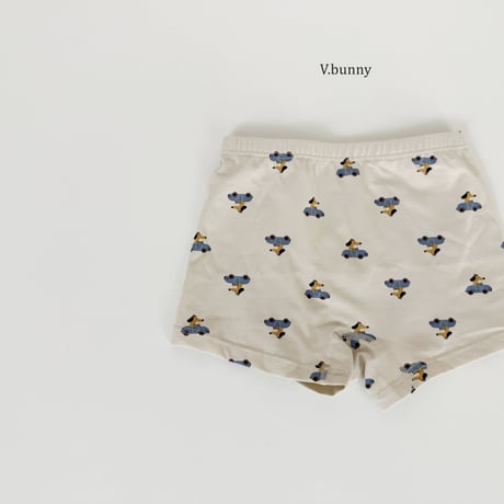 vbunny/53. hawaii underpants S-3XL